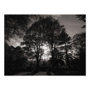 Impression Photo Paysage d'automne Bute Park Cardiff