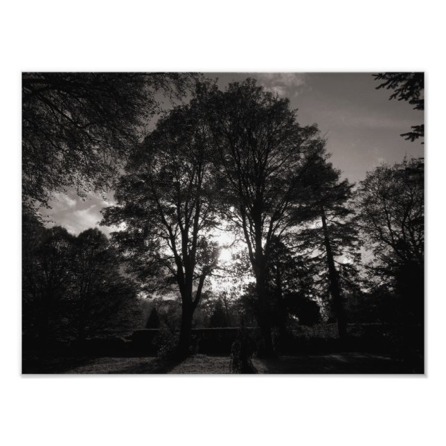 Impression Photo Paysage d'automne Bute Park Cardiff (Devant)