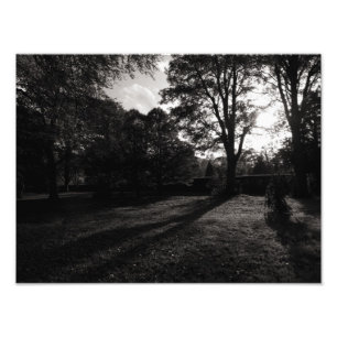 Impression Photo Paysage d'automne Bute Park Cardiff