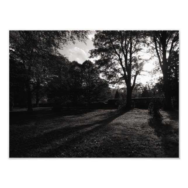 Impression Photo Paysage d'automne Bute Park Cardiff (Devant)