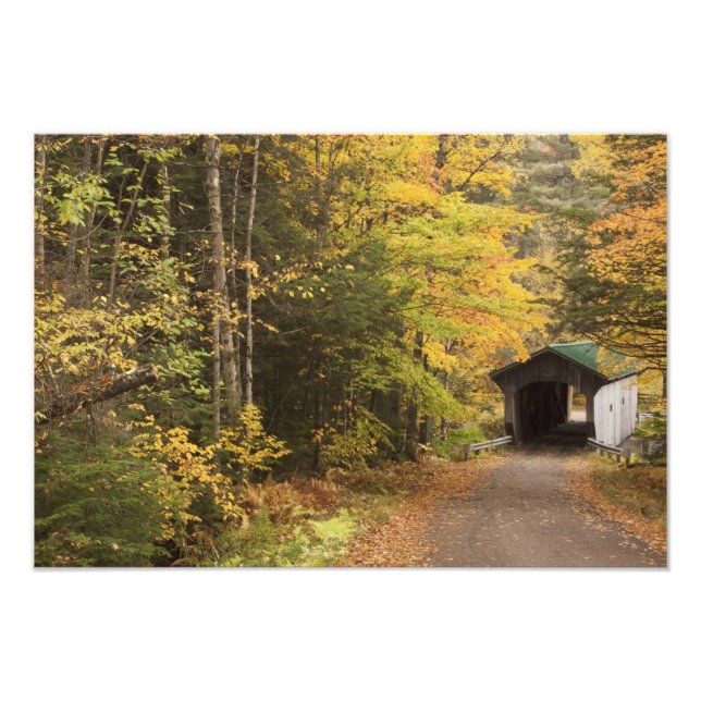 Impression Photo paysage d'automne, Vermont, États-Unis 2 (Devant)