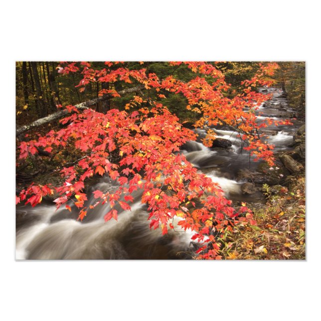 Impression Photo paysage d'automne, Vermont, États-Unis 4 (Devant)