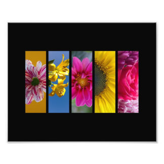 Impression Photo Paysage de fleurs de macro rose et jaune