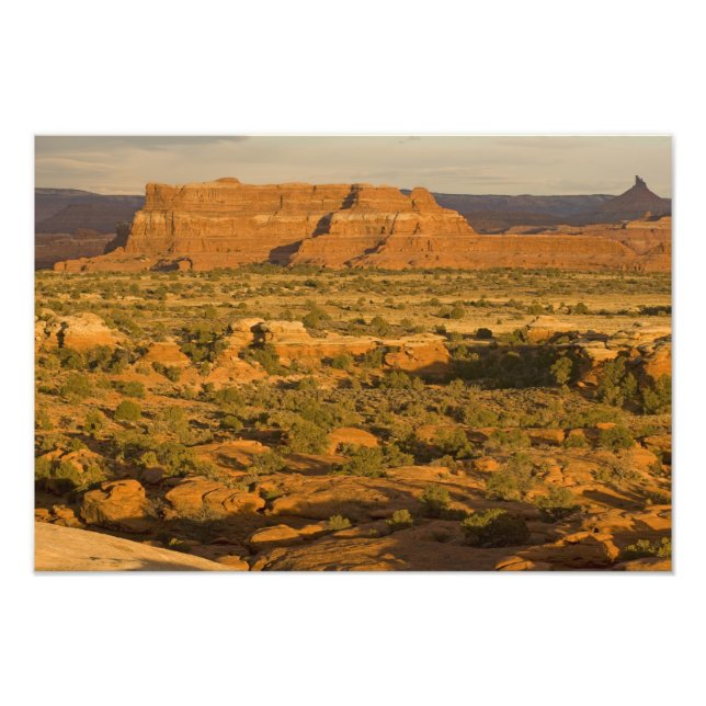 Impression Photo Paysage désertique d'hiver pittoresque sur le chem (Devant)