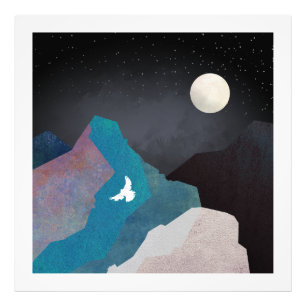 Impression Photo Paysage d'oiseau de montagne