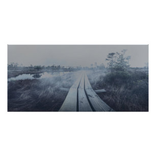 Impression Photo Paysage du marais