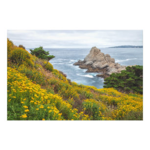 Impression Photo Paysage Fleur sauvage Jaune Côtier