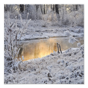Impression Photo Paysage hivernal blanc et moelleux avec reflet lum