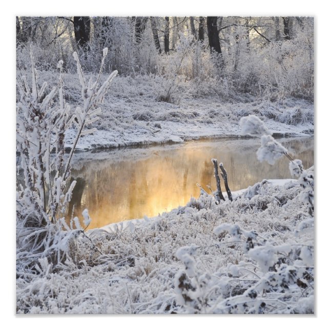 Impression Photo Paysage hivernal blanc neige avec reflet lumineux (Devant)