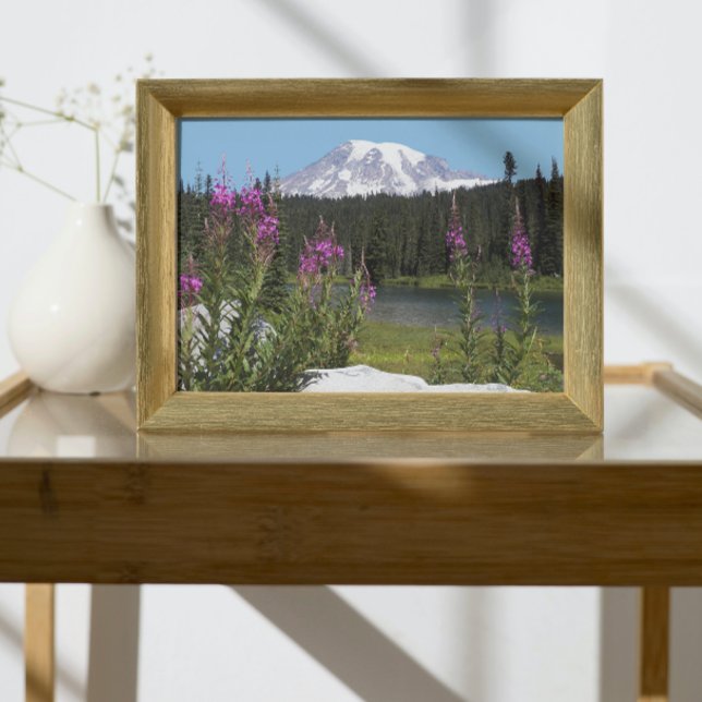 Impression Photo Paysage Pittoresque du Mont Rainier et Fleur sauva (In Situ Framed)