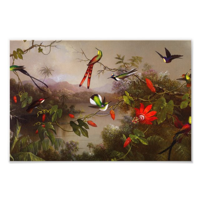 Impression Photo Paysage tropical avec dix colibris (Devant)