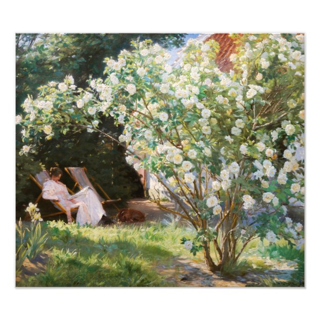 Impression Photo Peder Severin Kroyer - Roses (Devant)