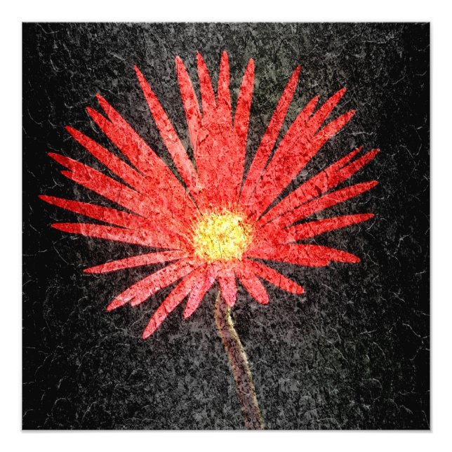 Impression Photo Peinture à fleur marguerite rouge (Devant)