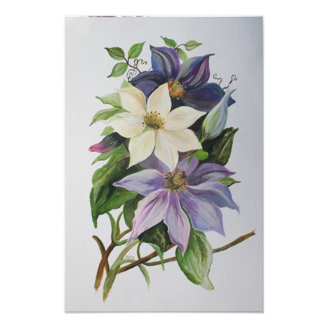 Impression Photo Peinture acrylique de la vigne Lilac Clematis (Devant)