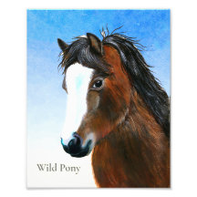 Peinture Brown à l'aquarelle de Pony sauvage