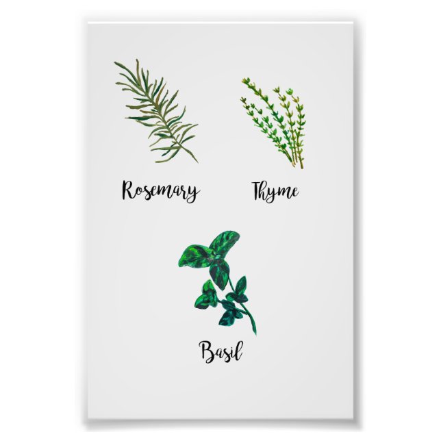 Impression Photo Peinture de jardin d'herbes (Devant)