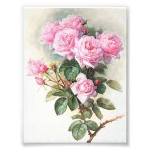 Impression Photo Peinture rose vintage de roses