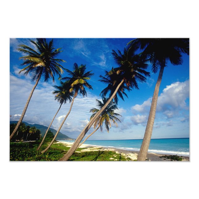 Impression Photo Péninsule de La Samana, République dominicaine, 2 (Devant)