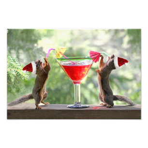 Impression Photo Père Noël Squirrels Boire un Cocktail