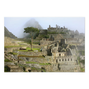 Impression Photo Pérou, Machu Picchu. L'ancienne citadelle de