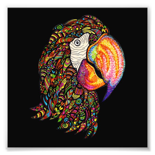 Impression Photo Perroquet (Devant)