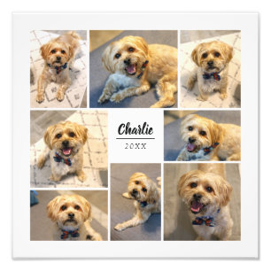 Impression photo personnalisée de 8 photos