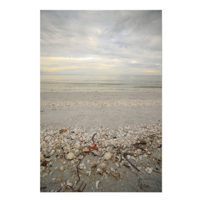 Impression Photo Perspectives de l'île de Sanibel (Devant)