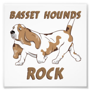 Impression Photo Pet Basset hound