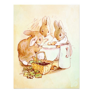 Impression Photo Peter Rabbit Beatrix Potter