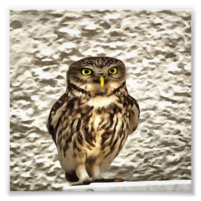 Impression Photo Petit Chouette Brown Portrait Artistique (Devant)