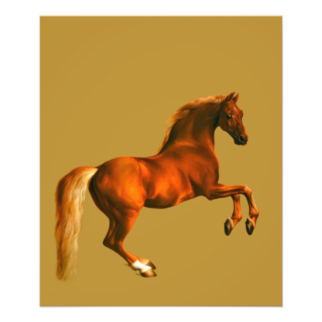 Impression Photo Petit-fils de Godolphin Arabian (Devant)