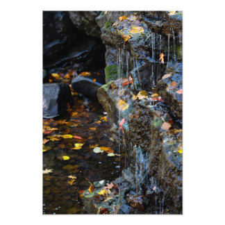 Impression Photo Petite Cascade Au-Dessus Des Rochers