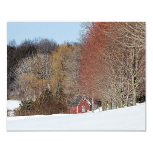 Impression Photo Petite maison rouge