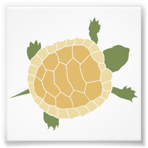 Impression Photo Petite tortue de rampement mignonne de tortue
