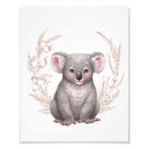 Petites amies australiennes - Koala