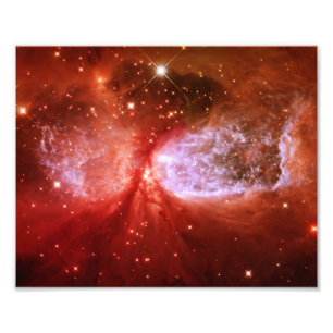 Impression Photo Phoenix