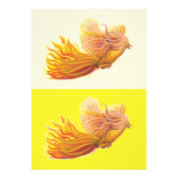 Phoenix - L'oiseau qui renaît