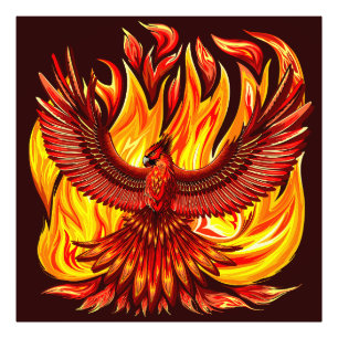 Impression Photo Phoenix mythologique immortelle Créature