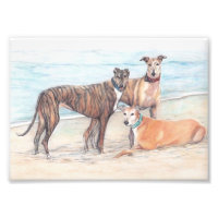 Photos d'art de trois chiens gris