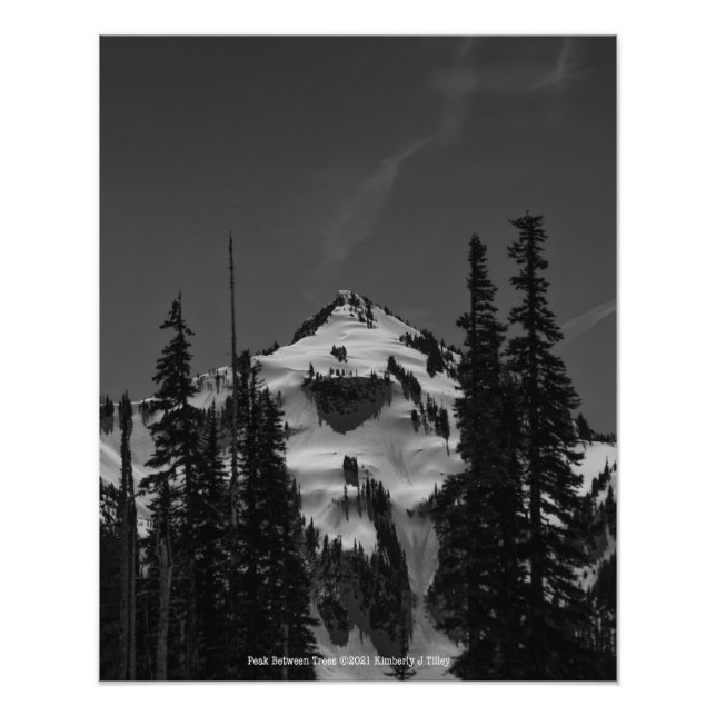 Impression Photo Pic entre les arbres (Devant)