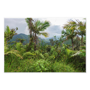 Impression Photo Pics et vallées d'el yunque