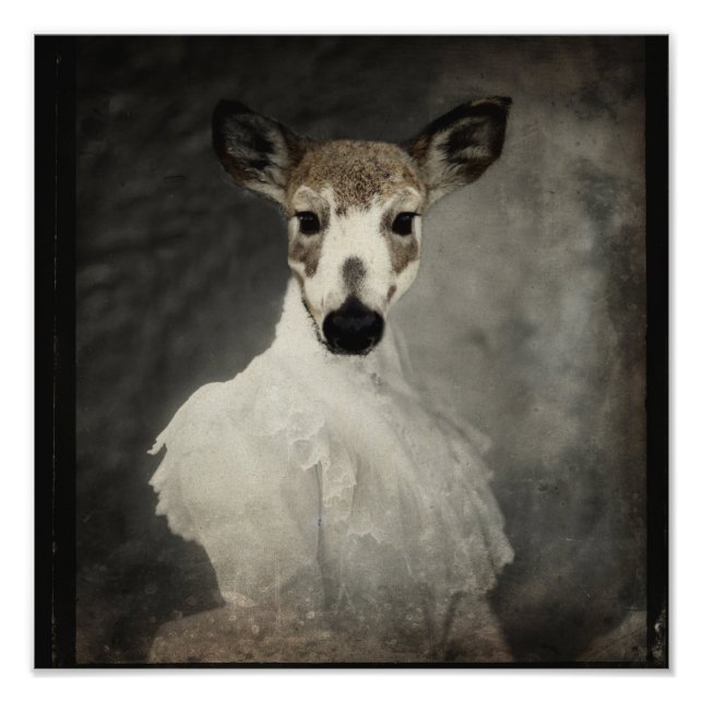 Impression Photo Piebald Deer En Robe (Devant)