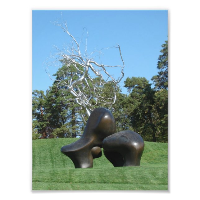 Impression Photo Pièce de mouton et arbre (Devant)