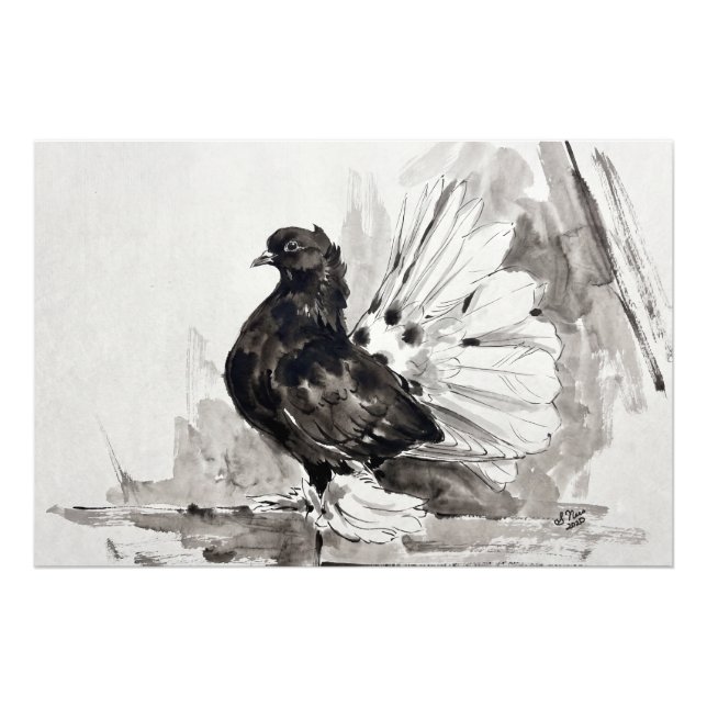 Impression Photo Pigeon à queue indienne Eyeliner Poule (Devant)