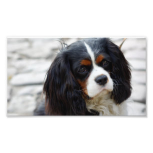 Impression Photo pile 2