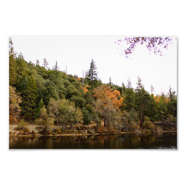Impression Photo Pin sauvage - Crique (Devant)