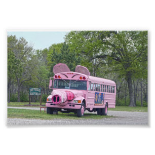 Impression Photo Pink Ben Wheeler, Texas, Hogfest Bus