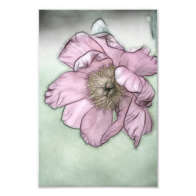 Impression Photo Pink Peony Flower Sketch (Devant)