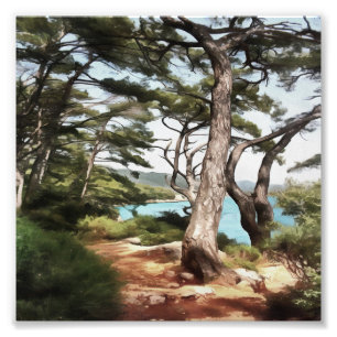 Impression Photo Pinus pinea Pinetree Forest Painting