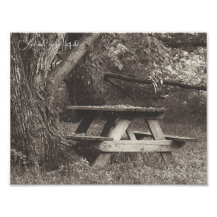 Impression Photo Pique-nique
